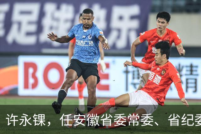 许永锞，任安徽省委常委、省纪委书记！卿泳，任宜宾市人大常委会党组书记！